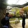 Daniel Shenker - @danielshenker - TikTok
