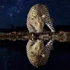 Daniel Sheppard - @daniel.sheppard57 - TikTok