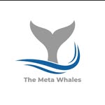 daniel sherar - @metawhalebuss - Instagram