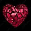 danielsherer211 - @danielsherer211 - TikTok