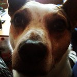 Daniel Sherrill - @cheverca - Instagram