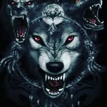 Даніель Шевченко - @_daniel_shevchenko_123 - Instagram