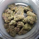 Daniel Eugene Shiner - @platinumdsblesssed - Instagram