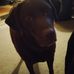 Daniel Shisler - Facebook