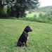 Daniel Shockley - Facebook