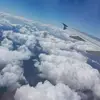 daniel iacobucci - @daniel.shook - TikTok