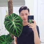 Daniel / House Plant Lover - @danielshouseplants - Instagram