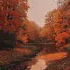 Daniel  Shrader - @daniel611892 - TikTok