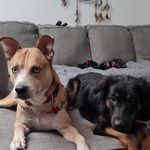 Daniel Shrader - @shaggymaster47 - Instagram
