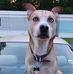 Daniel Shrader - Facebook