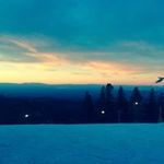 Daniel Shubin - @daniel_shubin - Instagram