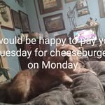 Daniel Shuck - @shuck3944 - Instagram