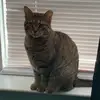 Danielleshuck - @danielleshuck - TikTok
