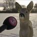 Daniel Shuey - Facebook