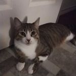 Daniel Shuler - @daniel.shuler45 - Instagram