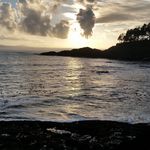 Daniel Shull - @danescargot - Instagram