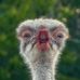 Daniel Shupe - Facebook