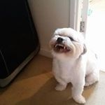 Daniel Shute - @daniel.shute - Instagram