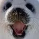 Daniel Shuter545 - @danielshuter - TikTok
