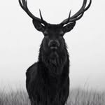 Daniel Shutts - @dshutts4 - Instagram