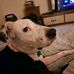 Daniel Sickels - Facebook