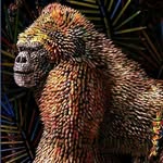 SID - @sidwelldaniel - Instagram