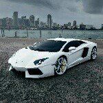 Daniel Sidzina - @sidzina - Instagram