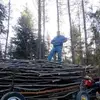 danieldziedzina1 - @danieldziedzina1 - TikTok