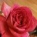 Daniel Sieber - Facebook