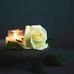 Daniel Siebert - Facebook