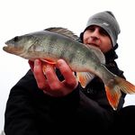 Daniel Siebert - @barschbube10 - Instagram