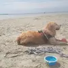 Daniel Siebert - @daniel.siebert - TikTok