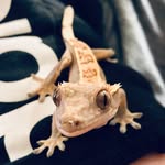Daniel Siemers - @dgeorgie2007 - Instagram