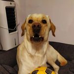 Daniel Sienkiewicz - @daniel.sienkiewicz.940 - Instagram