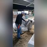 Daniel Sigala - @danielsigala18 - Instagram