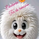 Daniel Sigala - @daniel_sigala68 - Instagram