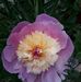 Daniel Signoret - Facebook