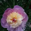 Daniel Signoret - @daniel.signoret - TikTok