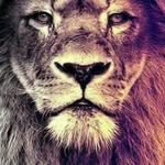 Daniel Signorini - @signorinidaniel - Instagram
