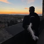 Daniel Sigrist - @__sigu__ - Instagram