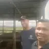 Daniel Sihombing - @danielsihombing8 - TikTok