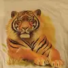 Tiger - @danielsilbaugh3 - TikTok