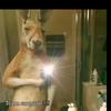 Daniel Sillas - @daniel.sillas - TikTok