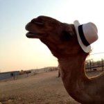 Daniel Sills - @daniel_sills - Instagram