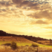 Daniel Silvas - Facebook