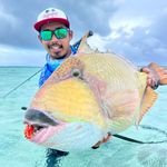 Daniel Sim - @diver_dim_and_stuff - Instagram