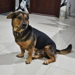 Daniel Soetanto - @daniel.soetanto - Instagram