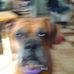 Daniel Solley - Facebook