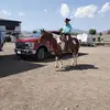Daniel Sorenson - @danielsorenson5 - TikTok