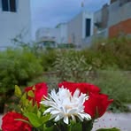 Daniel Seyram - Facebook